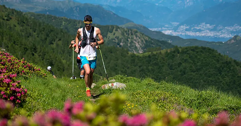 Een hardloper in sportkleding jogt over een bergpad, omringd door groene heuvels en roze bloemen, terwijl in de verte onder een blauwe hemel nog meer bergen en een vallei te zien zijn.